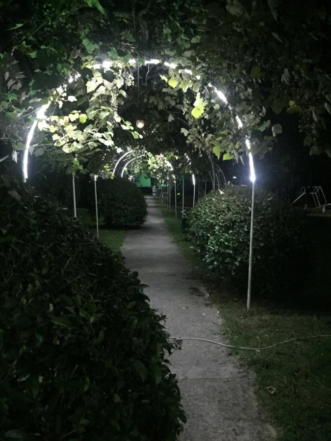 古达乌塔 Baza Otdyha Miya酒店 外观 照片